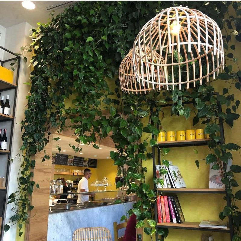 Cuma Natural Bar & Fresh Market · immagine 8